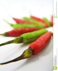 Ayam masak lemak cili padi. Cili Padi In English