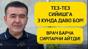 Qarshi karvon molbozori hukiz va xunajinlarni narlari 2025 yel 6 aprel