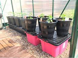 We did not find results for: The Kat S Scratch Pad Easy Diy Self Watering System