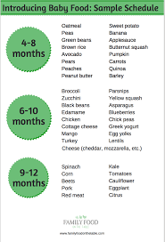 Homemade Baby Food Introducing Solids Schedule Printable