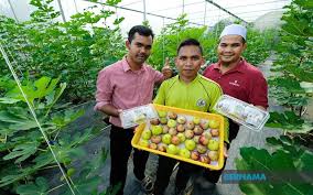 We did not find results for: Bernama Cinta Buah Tin Jadikan Guru Agama Usahawan Berjaya