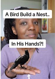 FUN FACT: St. Kevin is likely the first ever recorded person named Kevin!  They say St. Kevin held out his arms in prayer so long that a blackbird  built a nest in his hand. He stayed still—so the eggs ...