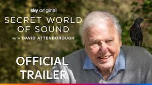 Even at 97, David Attenborough will crawl