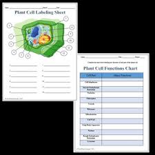 Check out the following sheets. Plant Cell Labeling Functions Science Worksheet By Techcheck Lessons