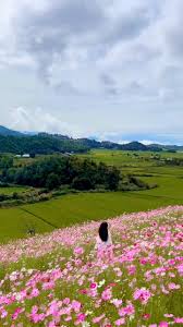 Shergaon