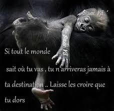 Si Tout Le Monde Sait Ou Tu Vas Tu N Arriveras Jamais A Ta Destination Laisse Les Croire Que Tu Dors Movie Posters Poster Movies