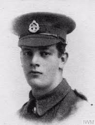 Lives of the First World War