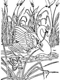 Check spelling or type a new query. Swan With Crown Coloring Page Swan Are Birds Known As Aquatic Animals But Most Of Their Time Is Spent On Animal Coloring Pages Coloring Pages Swan With Crown
