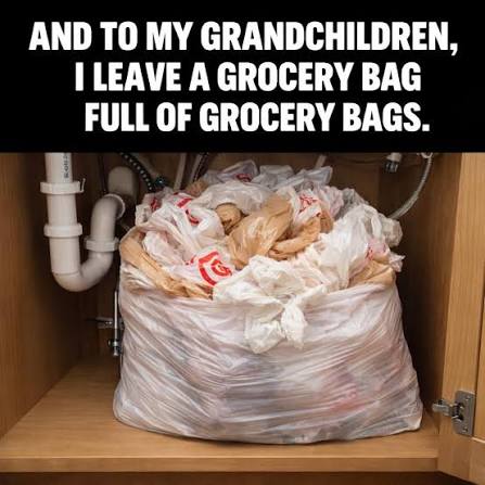 I hope they're mature enough to divide it evenly. #Groceries #Bags #Bag  #Will #LastWillAndTestament #Grandkids #Grandparents #Inheritance #Funny # Meme #Memes #FunnyMemesDaily
