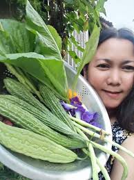Hi friends, this is my harvest for today. I also harvested 3 kgs of  ampalaya leaves ( one by one from the plants, took me hours to  pick...he,he). I still have to