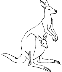 Coloriage Kangourou Maternelle Dessin Gratuit A Imprimer