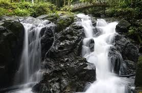 Sungai tua recreational forest consists primarily of young, regenerating secondary forests. 8 Waterfalls In Kl Selangor For A Refreshing Cool Dip Carilocal