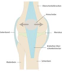 Kniescheibenluxation Enpevet