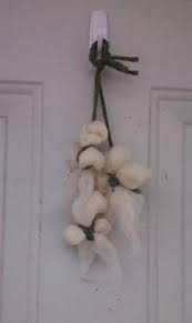 Resultado de imagen de imagen compitales