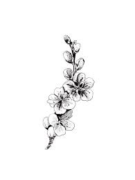 Cherry blossom tattoos with their natural floral pattern look beautiful and desirable. Cherry Blossom Drawing Art Print By Anis Illustration Anisillustration X Small Blossom Tattoo Black And White Flower Tattoo Cherry Blossom Tattoo