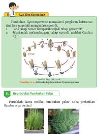 Tubuh tanaman bryophyta baik berdaun atau thalloid. Bab 2 Reproduksi Pada Tumbuhan Dan Hewan