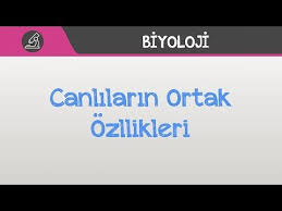 Yasam Bilimi Biyoloji Canlilarin Ortak Ozellikleri 2020 Biyoloji Videolar Ogretim