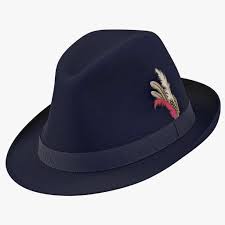 Fedora Hat 2 Blue 3d Model Ad Hat Fedora Model Blue Graphic Design Portfolio Examples Fedora Fedora Hat