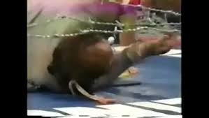 Barbed wire match cactus jack vs. Cactus Jack Vs Terry Funk Barbed Wire Exploding C4 Match Iwa King Of The Deathmatch Finals 10 20 95 Video Dailymotion