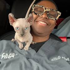 Traveling with cats in RV using hammocks