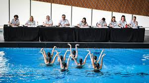 Artistic Swimming Leadership Team | Strategy in England