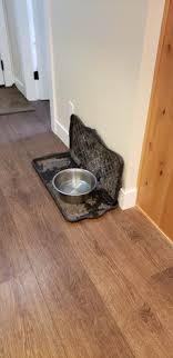 Dog water bowl dog spill proof bowls anti splash cover pro dog bowl dog food mat dog feed pet bowl dog slow cat wine anti spill bowl hond pet gadgets. Doggy Wall Guard Wall Protection From Splatter