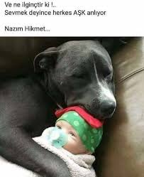 Kartalice Ssesiktas K Adli Kullanicinin Sozler Panosundaki Pin Guzel Soz Anlamli Alintilar Alintilar