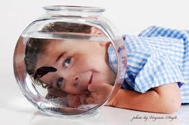 Profile for Virginia Doyle Photography