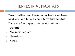 The nature of soil, rainfall and temperature the major factors affecting the nature of terrestrial habitats. What Are Terrestrial Habitats Give 2 Examples