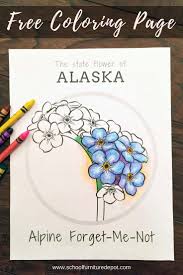 Exquisite turquoise blue pale and yellow petals of spring flowers forget me not are traditional patterns for tattooing. Signature School Products Blog Free State Flower Coloring Pages