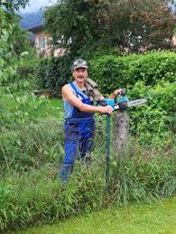 Auf wunsch haben wir frische milch, frische eier (von unseren bauernhof) oder den brötchenservice. Sonstige Landwirtschaftliche Tatigkeiten Kleine Wohnung Auf Dem Bauernhof Gegen Erfahrene Mithilfe Kaufen Landwirt Com