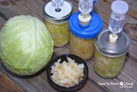 Making Sauerkraut With Mason Jar Fermenting 3 Different Set Ups Seed To Pantry School