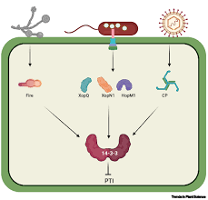 Naheed Tabassum (@NaheedKAUST)