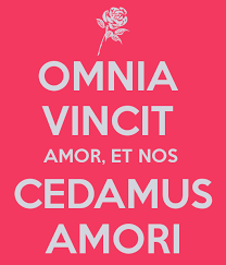 Pin Su Citazioni
