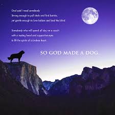 So God Made A Dog Digital Art By Christine Mullis