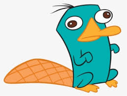 A collection of the top 39 perry the platypus wallpapers and backgrounds available for download for free. Perry The Platypus Png Images Free Transparent Perry The Platypus Download Kindpng