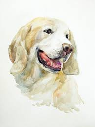Custom Dog Portrait Watercolor Hand Painted From You Own Etsy Watercolor Dog Portrait Animal Portraits Art Custom Dog Portraits