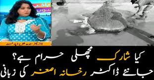 No, no, prawns and shrimp are halal. Is Shark Meat Halal To Eat Siasat Pk Forums