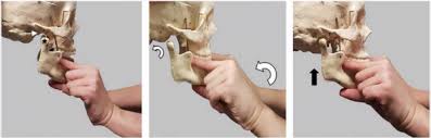 Image result for Jaw Dislocation