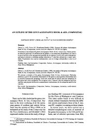 Image result for Anisopappus kirkii