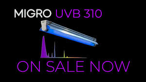 Top picks related reviews newsletter. Uvb Grow Light Release Youtube