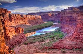 Register to vote, view the sample ballot, candidate profiles and issue information or. Contact Us Utah Com