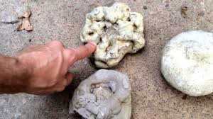 Check spelling or type a new query. 3 Ways To Identify An Unopened Geode Wikihow