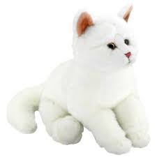 Oyuncak Kedi Gittigidiyor