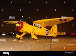 Image result for Jasmine Yellow 1994 Reliant