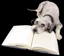 Hours may change under current circumstances St Francis Veterinary Hospital Veterinarian In Lompoc Ca Us Veterinary Resources St Francis Veterinary Hospital Veterinarian In Lompoc Ca Us