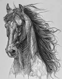 Dibujos A Lapiz 167 Fotos Trucos Y Consejos Dibujos De Caballos Bosquejo De Caballo Caballos A Lapiz