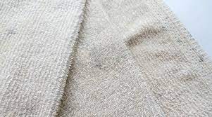 Fold over on itself so shout cannot dry up and let sit for 24 hours. How To Remove Mildew Mold Spots From Clothes Sew Guide