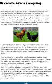 Check spelling or type a new query. Budidaya Ayam Kampung Fur Android Apk Herunterladen