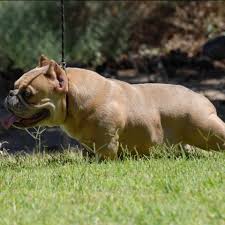 Profile for Mac Carter